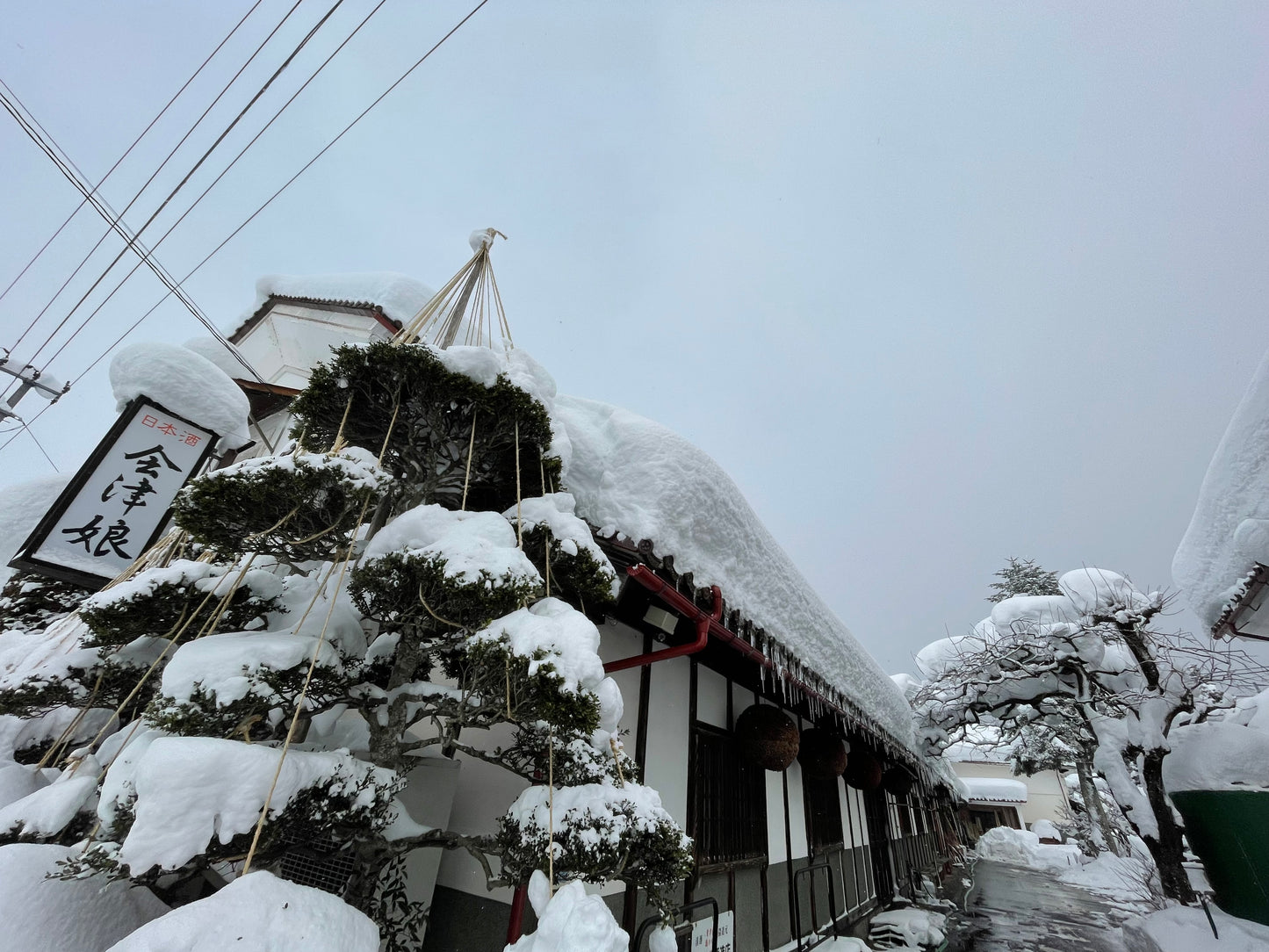 数量限定<br>会津娘 芳醇純米【生】
