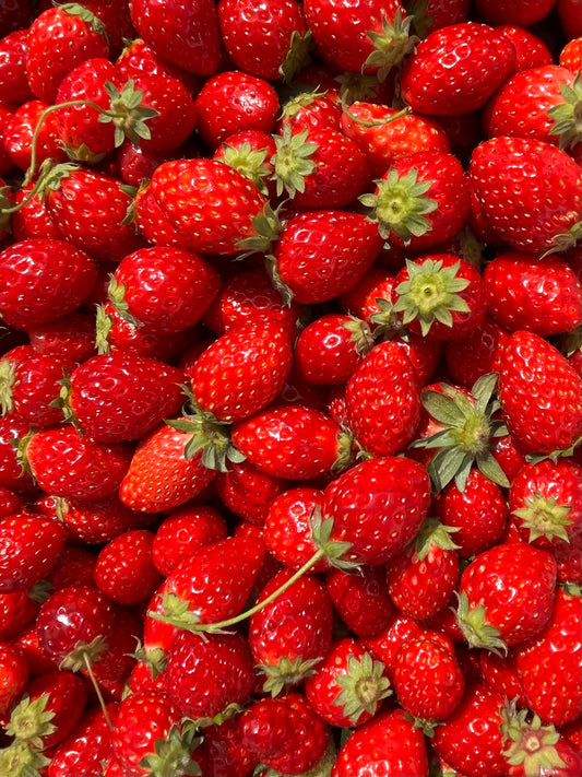 Aizu Gin 2024 Vol.4 500mL bottle 【数量限定】