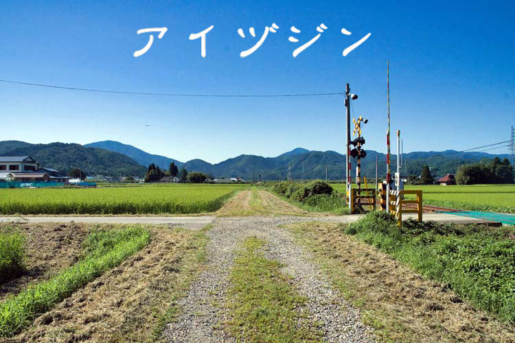 Aizu Gin 2024 Vol.4 500mL bottle 【数量限定】