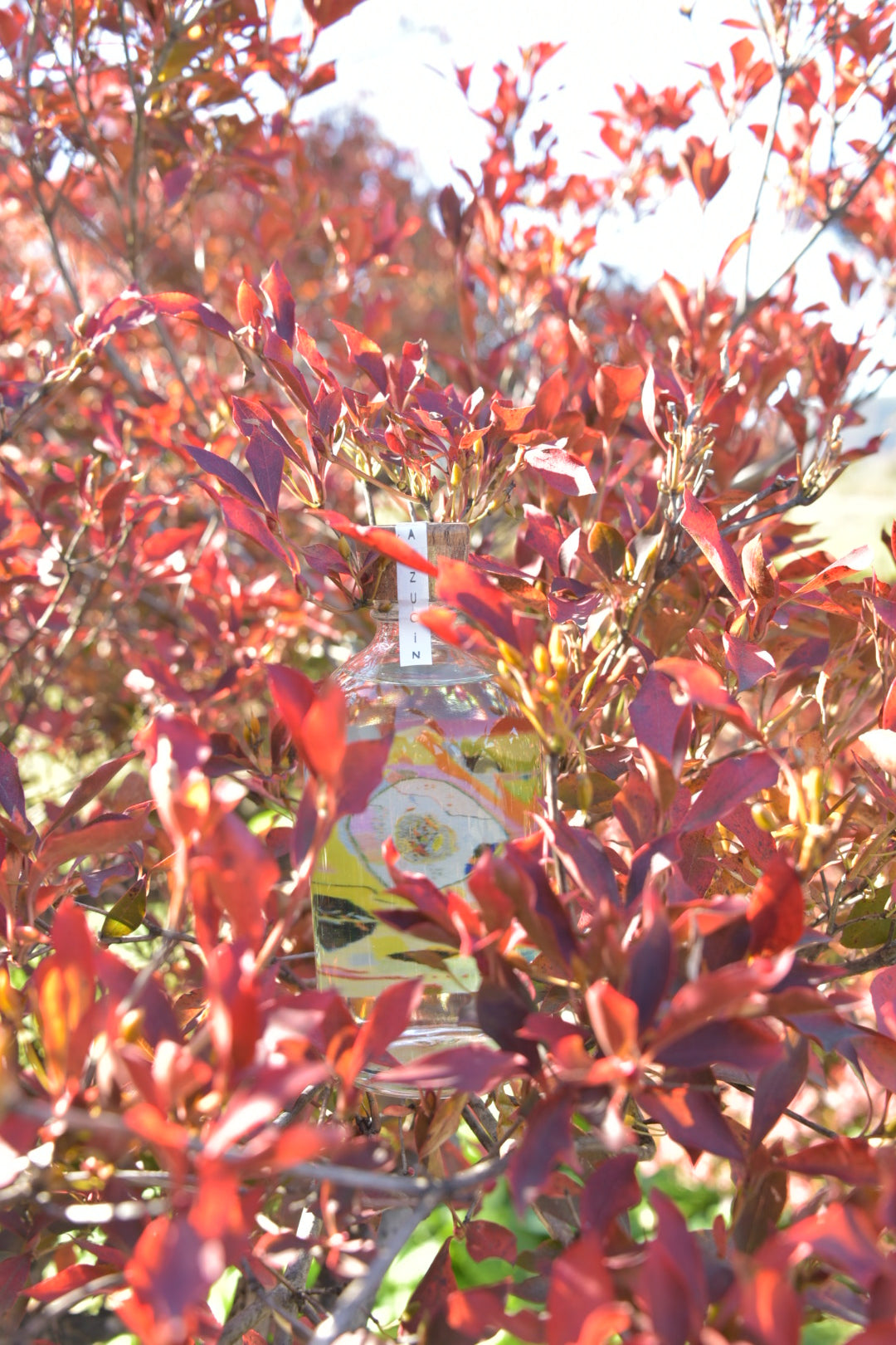 Aizu Gin 2025 Vol.6  500ｍL bottle　【数量限定】<br>2025.12.19~お届け
